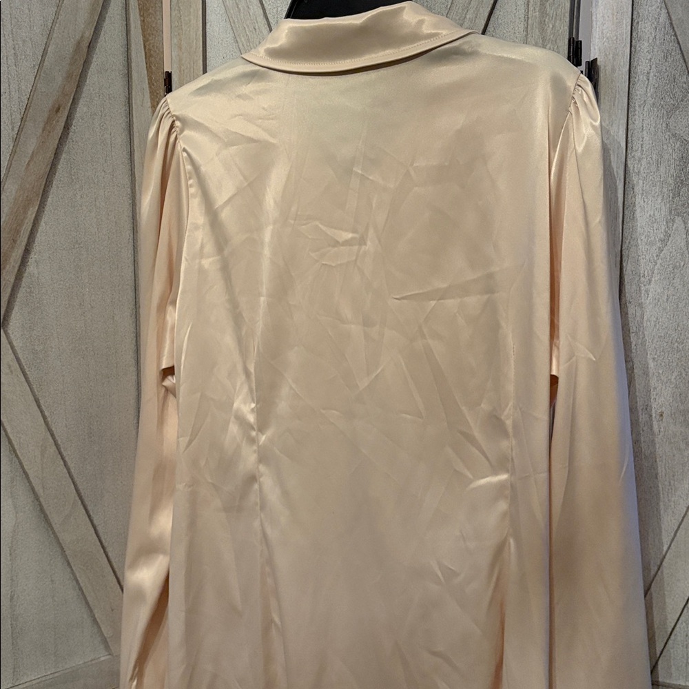 Fashion Nova Ivory Satin Shirt Dress - Picture 4 of 8